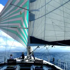 Vela colorata e bianca gonfie al vento, con persone a bordo pronte a mettersi alla cappa. Mare blu e cielo con nuvole bianche.