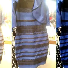The internet's color is debated, just like this dress, which appears blue and black or white and gold.