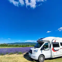 Un camping-car blanc stationné devant un champ de lavande en fleur, sous un ciel bleu éclatant en Provence.
