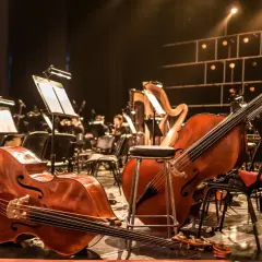 Kontrabasy i harfa na scenie, gotowe do wykonania muzyki z filmów.