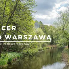 Zielony krajobraz nad wodą, idealne miejsce na spacer pod Warszawą. Chojnowski Park Krajobrazowy zaprasza.