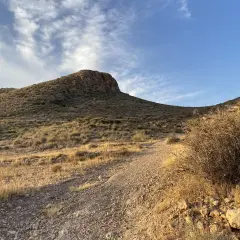 Sendero pedregoso asciende hacia una colina árida bajo un cielo azul con nubes tenues. A la derecha, un arbusto seco y espinoso se alza cerca del camino, evocando la dureza del paisaje, quizás cerca del **cráter del hoyazo**.