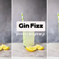 Orzeźwiający gin fizz z cytryną i słomką. Idealny na lato, z przepisem i modyfikacjami.