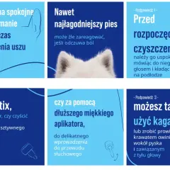 Porady dotyczące czyszczenia uszu psa: uspokój go, użyj aplikatora lub kagańca.