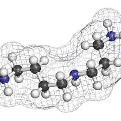 Model cząsteczki spermidyny, z atomami węgla (szare), wodoru (białe) i azotu (niebieskie), otoczony siatką konturu.