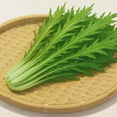Un fascio di foglie verdi e frastagliate di mizuna insalata riposa su un cestino di bambù intrecciato.