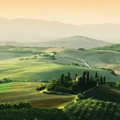 Paysage toscan vallonné avec une ferme, idéal pour l'oenotourisme à Arezzo. Vignes et cyprès bordent les routes sinueuses.