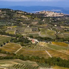 Paesaggio toscano con vigneti e uliveti, ideale per una degustazione Biondi Santi.