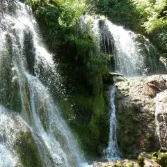 Cascada exuberante, ideal para saber qué visitar en Bulgaria. El agua cae sobre rocas cubiertas de musgo y vegetación frondosa.