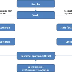 Organigramm des deutschen Sports: Sportler, Vereine, Fachverbände und der DOSB als Dachorganisation.