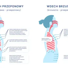 Ilustracja pokazuje dwa rodzaje wdechu: przeponowy i brzuszny. Oba angażują świadome oddychanie, ale różnią się mechanizmem.