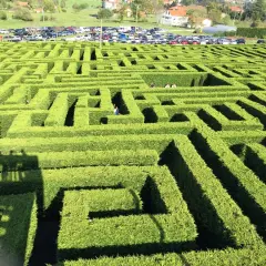 Un laberinto de VillaPresente, con personas explorando sus verdes senderos. ¡Un lugar para perderse y crear recuerdos!