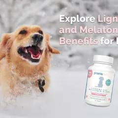 Perro feliz jugando en la nieve. A su lado, un frasco de suplemento "pienso libra light" para perros.
