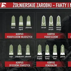 Grafika pokazuje stopnie wojskowe i ich nazwy, od szeregowego do Marszałka Polski. Dowiedz się, ile zarabia szeregowy w wojsku.