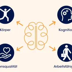 Diagramm zeigt, wie Körper, Kognition, Lebensqualität und Arbeitsfähigkeit mit dem Gehirn verbunden sind. Symptome, wenn das Gehirn schrumpft, können alle diese Bereiche betreffen.