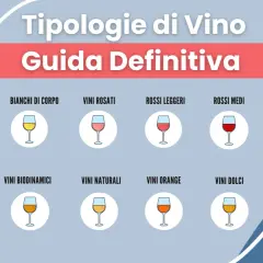 Guida definitiva alle tipologie di vino: bianchi leggeri, corposi, rosati, rossi leggeri, medi, corposi, spumanti, biodinamici, naturali, orange, dolci e liquorosi.
