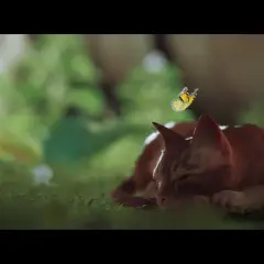Pomarańczowy kot śpi w trawie, a nad nim lata motyl. Scena z gry o kocie.
