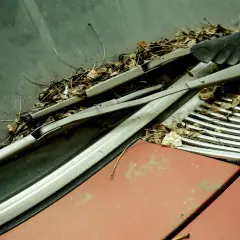Zarośnięty liśćmi mechanizm wycieraczek Astra G, zardzewiałe ramiona i zniszczona maska sugerują długie zapomnienie.