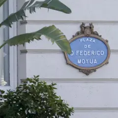 Placa de "Plaza Federico Moyua" en una pared blanca, con hojas verdes de plantas en primer plano.