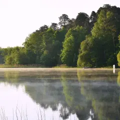 Mglisty poranek nad jeziorem, zalesiony brzeg i mała szopa – to jedne z urokliwych pojezierze wielkopolskie atrakcje.