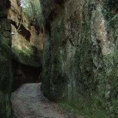 Sentiero tra le rupi corchiano, con pareti rocciose ricoperte di muschio e vegetazione.
