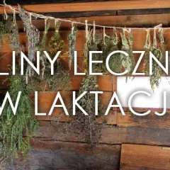 Szałwia na laktację: Ile pić, by bezpiecznie wyciszyć mleko?