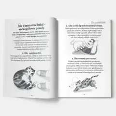 Ilustracje kotów: jeden leży obok butów, drugi masuje człowieka, trzeci goni muchę.