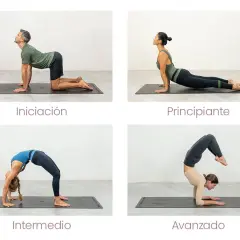 Secuencia de hatha vinyasa yoga: iniciación (postura del gato), principiante (cobra), intermedio (puente) y avanzado (escopión sobre antebrazos).