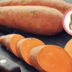 Bataty dla psa: zdrowy dodatek czy ryzyko? Poradnik eksperta