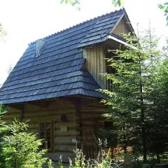 Drewniana pustelnia Brata Alberta, otoczona zielenią, z charakterystycznym gontowym dachem i kamiennym kominem.