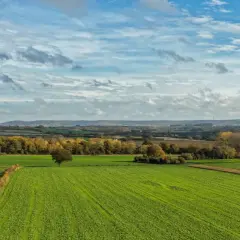 Zielone pola uprawne, drzewa i pagórkowaty krajobraz pod chmurami. Taka ziemia to cenny zasób, który wpływa na gus cenę ziemi.
