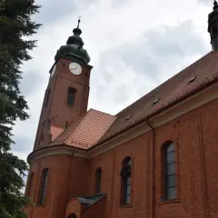 Ceglana wieża kościelna z zegarem i zielona choinka. Wygoda łączenia historii z naturą.