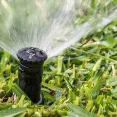 A sprinkler head sprays water onto lush green grass. This image illustrates how to replace sprinkler head for efficient lawn watering.