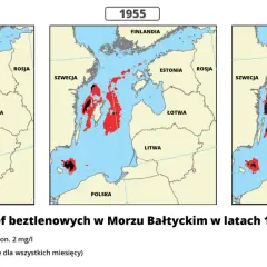 Gdzie jest Bałtyk? Odkryj jego lokalizację i otaczające kraje
