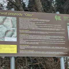 Wyjaśnienie genezy i nazwy rezerwatu przyrody "Olzy", z naciskiem na jego charakterystyczną, żółtą ścianę skalną.