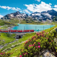 Czerwony pociąg jedzie malowniczą trasą nad turkusowym jeziorem, z górami w tle. Idealny widok dla posiadaczy Swiss Travel Pass.