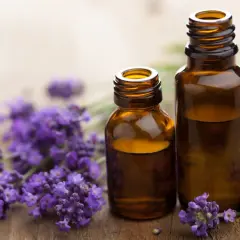Deux flacons d'huile essentielle de lavande officinale, entourés de fleurs de lavande, évoquant ses nombreux bienfaits relaxants et apaisants.