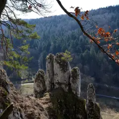 Ojcowski Park Narodowy trasa prowadzi przez skalne iglice i lasy. Widok z góry na dolinę i drogę.