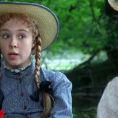 Ania z Zielonego Wzgórza w słomkowym kapeluszu i sukience w kratkę, z warkoczami ozdobionymi czarnymi kokardkami, rozmawia z kimś na tle zieleni.