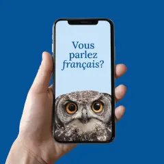 Darmowe aplikacje do nauki francuskiego? Sowa na ekranie telefonu pyta "Vous parlez français?".