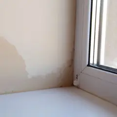 Wandflecken und ein muffiger Geruch deuten auf Feuchtigkeit hin, obwohl kein Schimmel sichtbar ist.