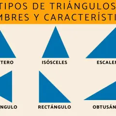 Seis tipos de triángulos: equilátero, isósceles, escaleno, acutángulo, rectángulo y obtusángulo, cada uno con sus características.