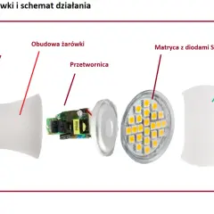 Rozłożona żarówka LED: trzonek E27, obudowa, przetwornica, matryca z diodami SMD i klosz. Poznaj budowę żarówki.