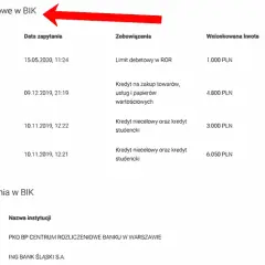 Jak usunąć zapytania w BIK i poprawić swoją zdolność kredytową