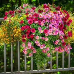 Cesta colgante rebosante de vibrantes flores de verano en tonos rosa, fucsia y amarillo, adornando una barandilla metálica.