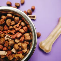 Brit czy Royal Canin dla szczeniaka? Porównanie składu i ceny