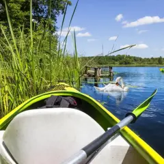 Spływ kajakowy Mazury: łabędź i inni kajakarze na spokojnym jeziorze. Idealne miejsce na relaks.