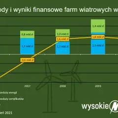 Ile elektrowni wiatrowych w Polsce? Liczba, moc i przyszłość