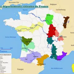 Carte des principaux départements viticoles de France, montrant la diversité de chaque région des vins.