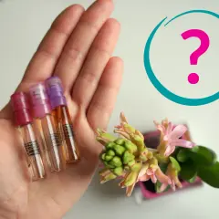 Gdzie kupić próbki perfum? Sprawdź najlepsze miejsca i oferty